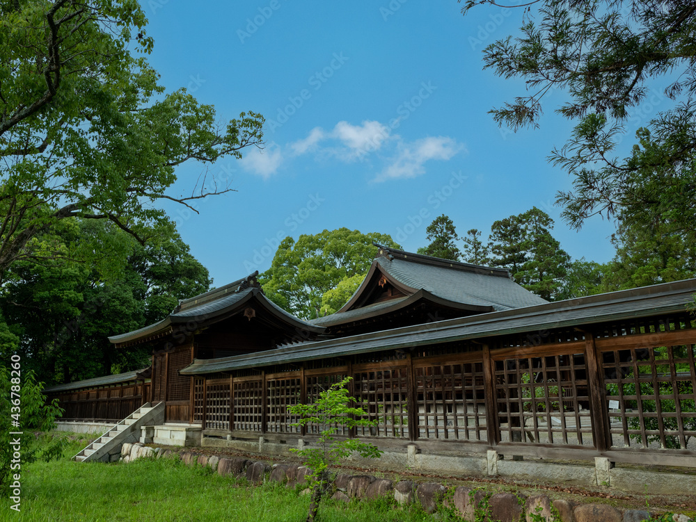 初夏の神社