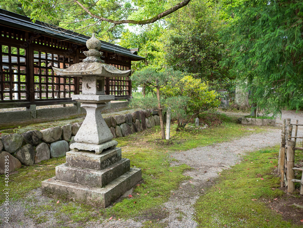 Obraz premium 初夏の神社