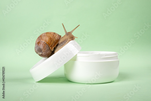 snail mucin cream,beauty skin care.. photo