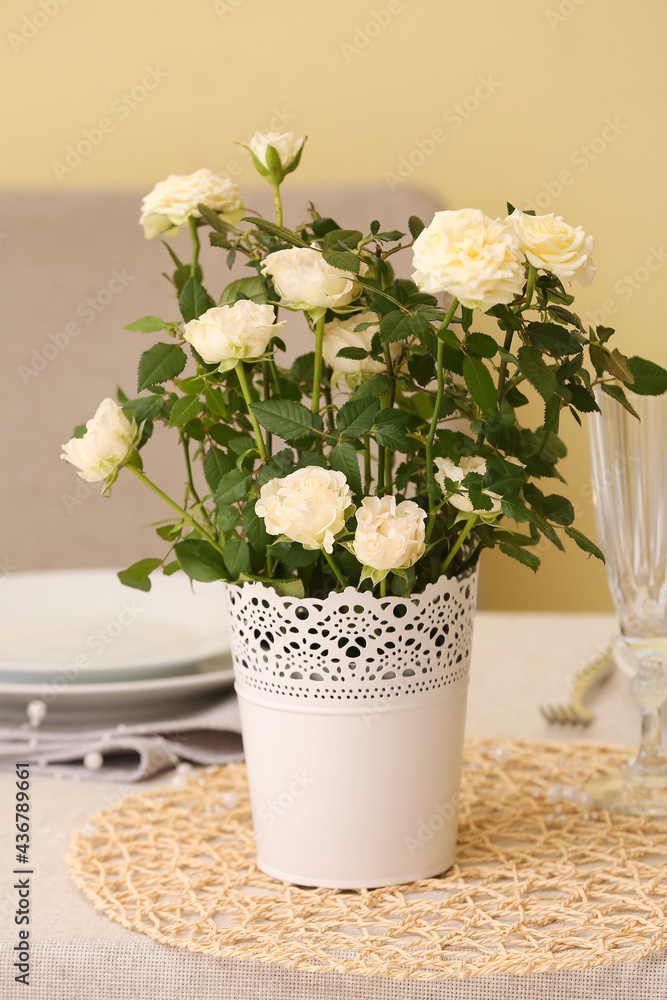 Beautiful white roses in pot on dining table