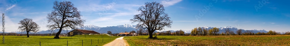 High resolution stitched panorama of a beautiful alpine spring view with tree silhouettes and the alps in the background near the famous Chiemsee, Chiemgau, Bavaria, Germany
