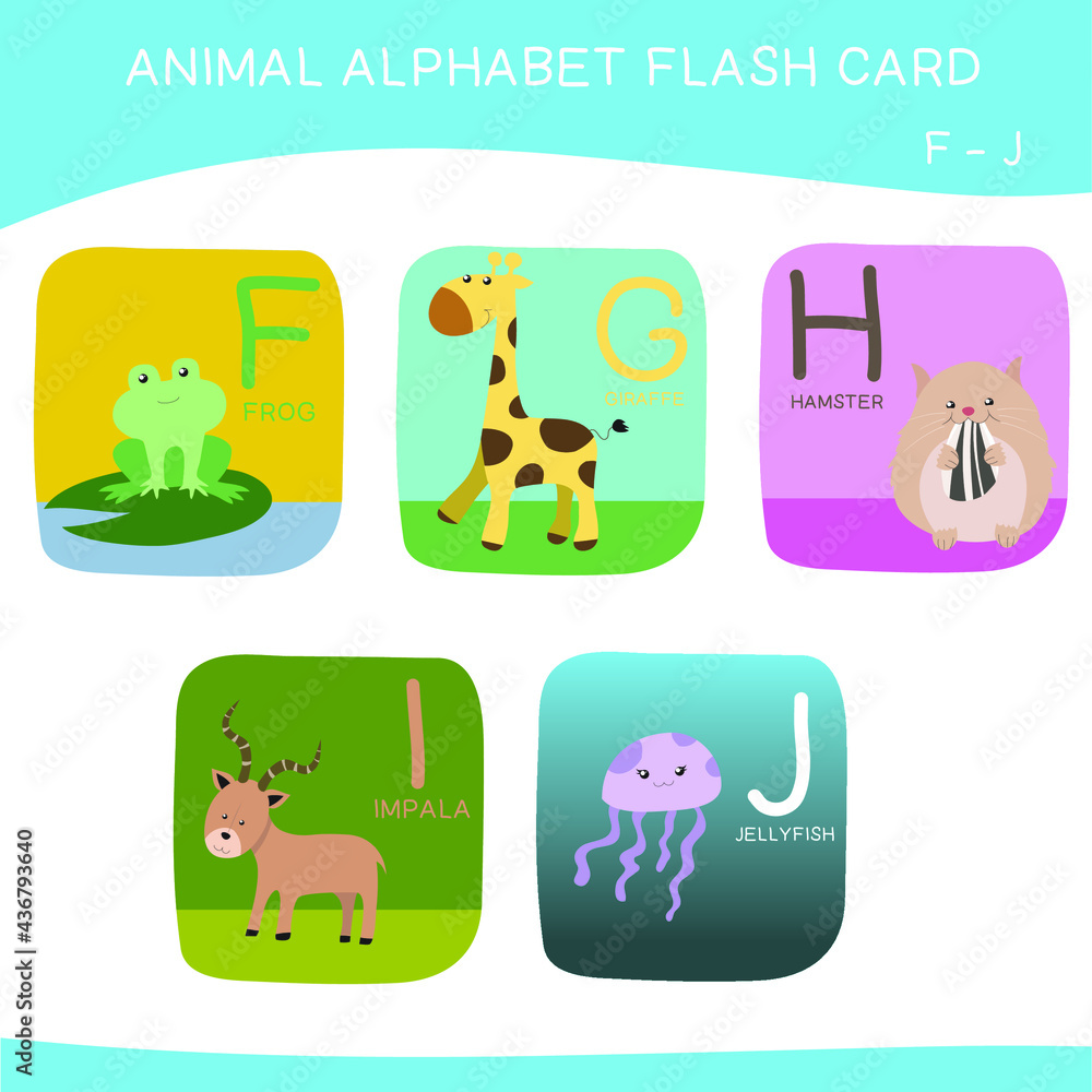 Fototapeta premium English alphabet with cute animals vector illustrations set. Cute Animals alphabet for kids education. Learn letters with funny zoo animals for kids. Childish Vector ABC Poster for Preschool Education