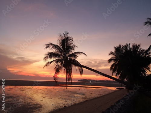 Fototapeta Naklejka Na Ścianę i Meble -  sunset at the beach, thailand, koh phanghan, pandemic travel 2021, coconut palm tree 