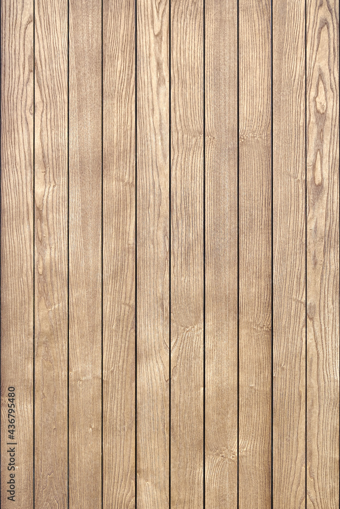 Fototapeta premium Stylish contemporary wainscoting made of thin light toned ash timber planks as textured background for design close view