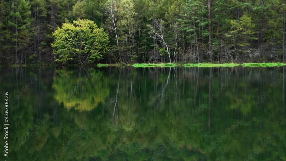 湖で水面に写る緑の風景 湖で水面に写る緑の風景