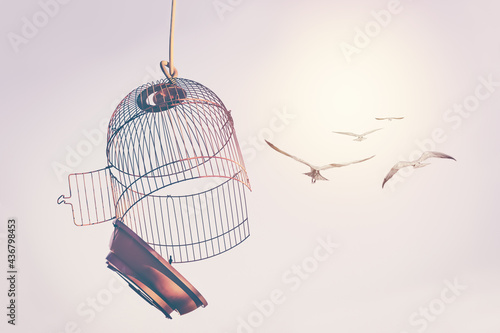 Slika na platnu Birds escape out birdcage