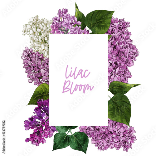 Watercolor lilac flowers and leaves.
