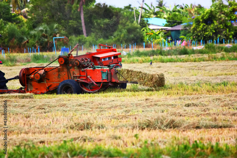 Fototapeta premium the balers , farmer using balers keep straw after harvest