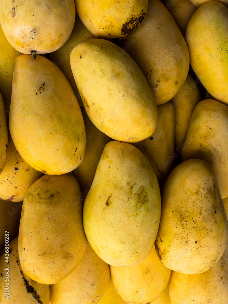 Ripe native Carabao Mangoes, also known as Philippine mango, on display