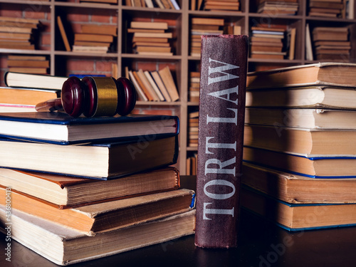 Heap of books and Tort law with gavel.