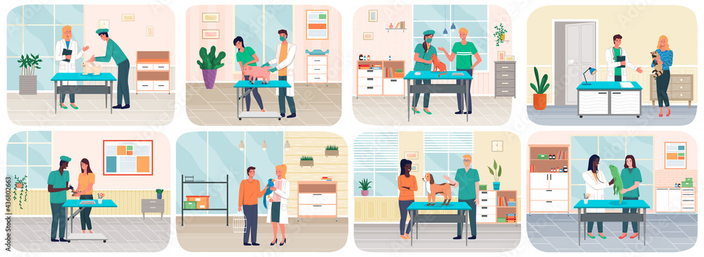 Veterinary care, treatment of pets scenes set. Veterinarian talking to owner in medical office. Visit to vet clinic to check health of pet. Veterinary surgeon helps treat patients domestic animals Veterinary care, treatment of pets scenes set. Veterinarian talking to owner in medical office. Visit to vet clinic to check health of pet. Veterinary surgeon helps treat patients domestic animals