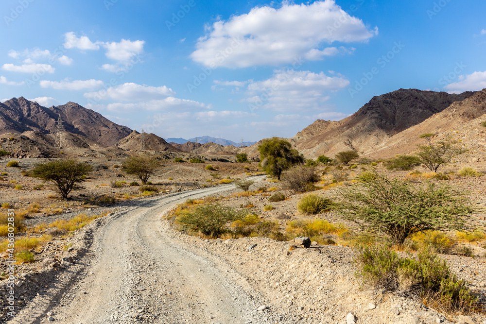 Copper Hike trail, winding gravel dirt road through Wadi Ghargur riverbed and rocky limestone Hajar Mountains in Hatta, United Arab Emirates. Copper Hike trail, winding gravel dirt road through Wadi Ghargur riverbed and rocky limestone Hajar Mountains in Hatta, United Arab Emirates.