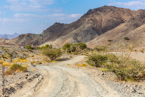Copper Hike trail, winding gravel dirt road through Wadi Ghargur riverbed and rocky limestone Hajar Mountains in Hatta, United Arab Emirates. photo