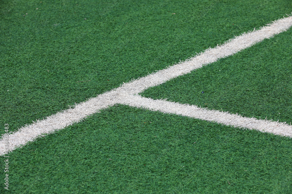 The white line is on the green lawn The white line is on the green lawn