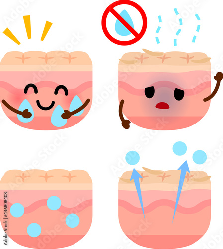保水力のある皮膚と乾燥した皮膚のキャラクター