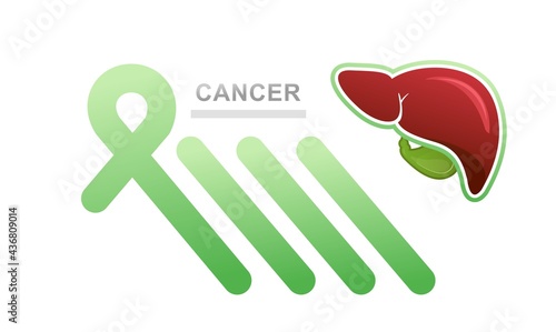 concept vector banner human liver