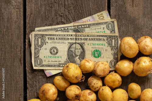Fototapeta Naklejka Na Ścianę i Meble -  a young red-haired small peeled potato lies on a wooden table close up and there are dollars next to it