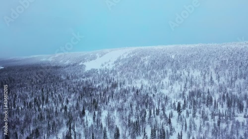 Aerial view overlooking snowy forest, fells and gloomy nature in Pyha-Luosto national park, Lapland - tracking, drone shot photo