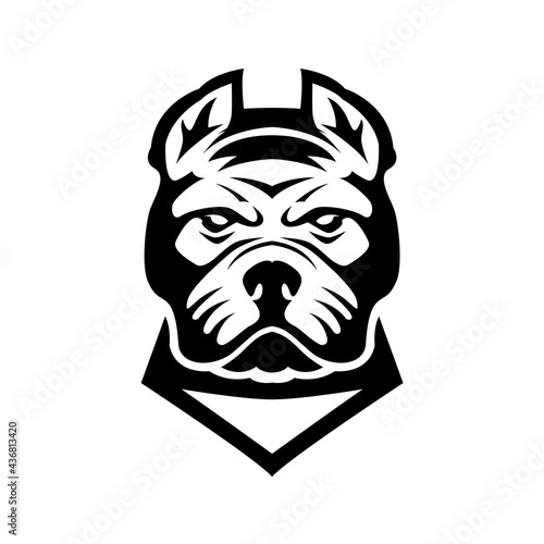 Pitbull head. Design element for logo, label, sign, emblem. Vector illustration