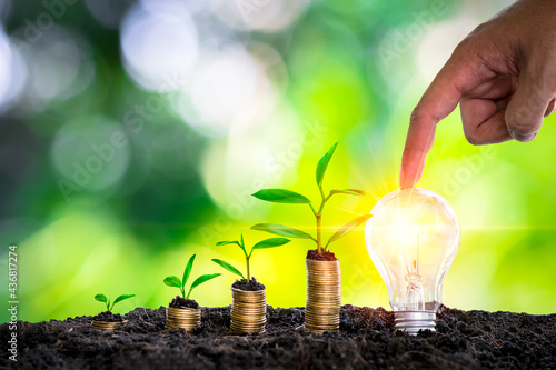Hand touch light bulb with light and tree growing on stacks on nature background. Saving, accounting and financial concept. technology for saving electric power and energy use ecology idea concept.
