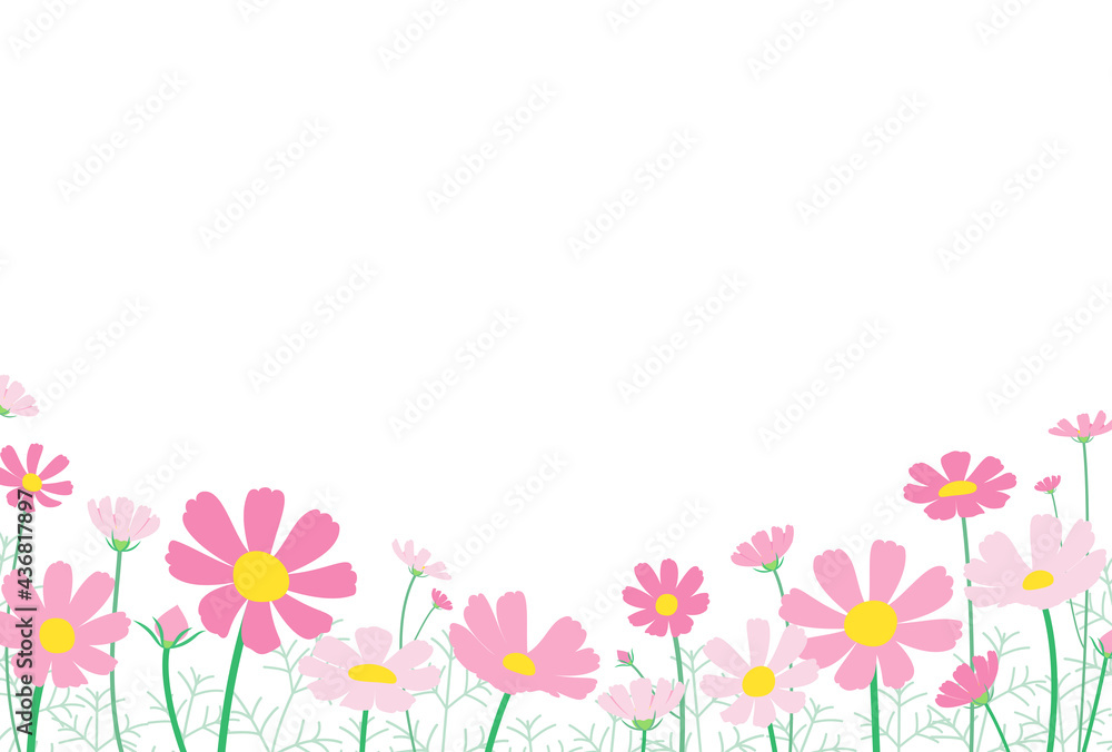 コスモスがたくさん咲いている風景のメッセージカード　はがきサイズ横型