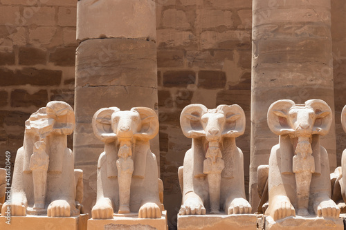A fragment of the alley of cryosphinxes in the Karnak temple, sculptures of mythical creatures with the head of a ram and the body of a lion, designed to guard the ancient necropolises.