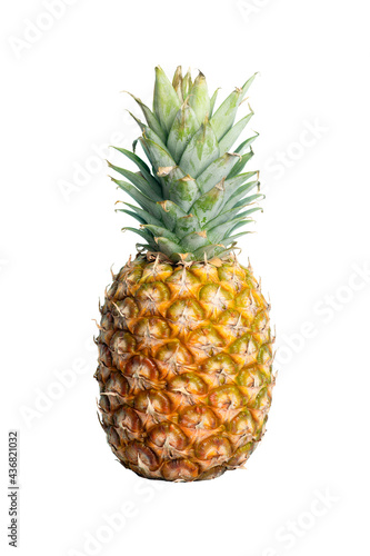 Pineapple isolated. Juicy fresh tropical fruit pineapple on empty white background