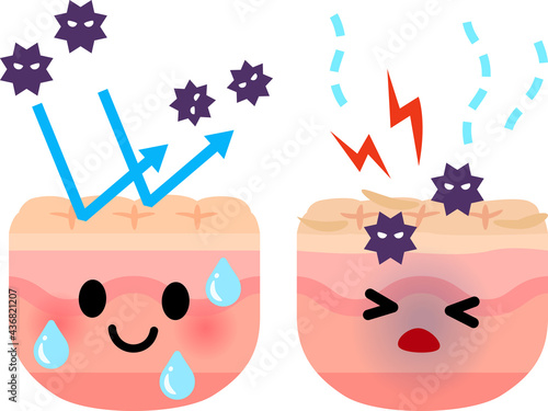 バリア機能がある皮膚とダメージを受ける皮膚