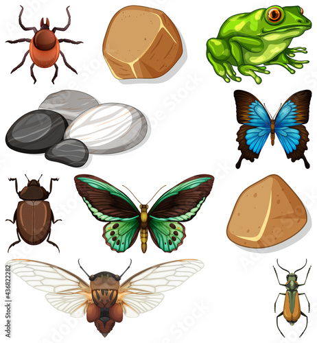 Different types of insect with nature elements
