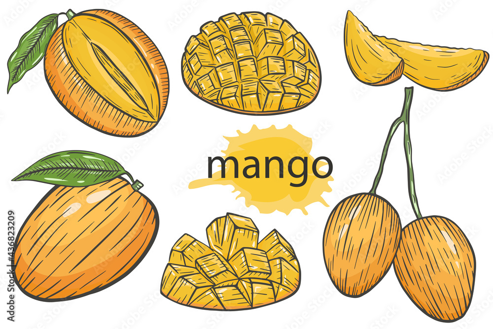 How To Draw A Mango Step By Step For Kids @ Howtodraw.pics