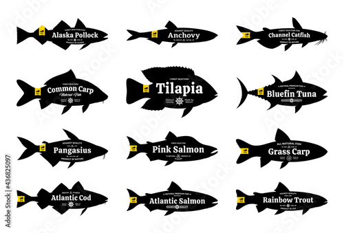 Set of vector fish labels isolated on a white background. Fish silhouettes collection