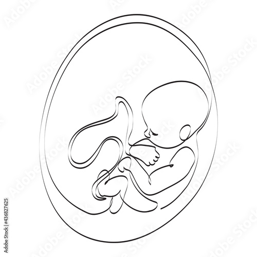 Embryo in her womb inide mother belly, continuous line drawing. Antenatal child development in uterus, vector illustration. Human cub