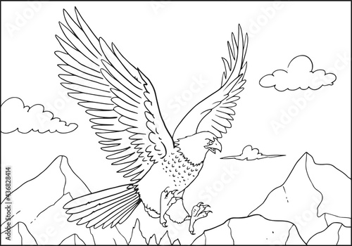 Vector illustration of black and white an eagle contour