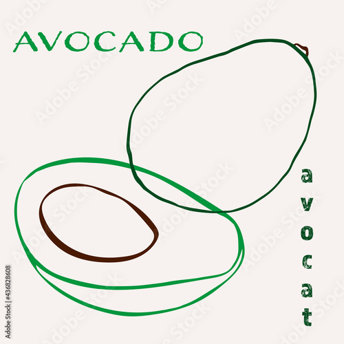 Avocado line art hand-drawn multicolor modern vector illustration. Colorful line art exotic fruit design.