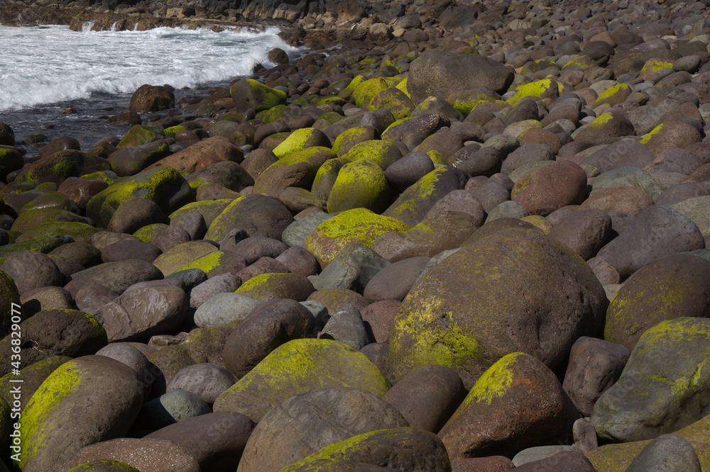 Gran Canaria, landscape of steep eroded west coast in Agaete municipality, dark volcanic boulders of 
Playa del Risco, beach belonging to El Risco hamlet
