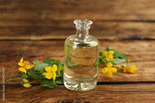 Bottle of natural celandine oil near flowers on wooden table  closeup