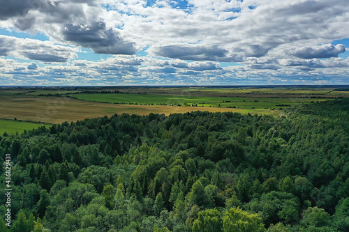 summer forest top view drone  background green trees panorama landscape