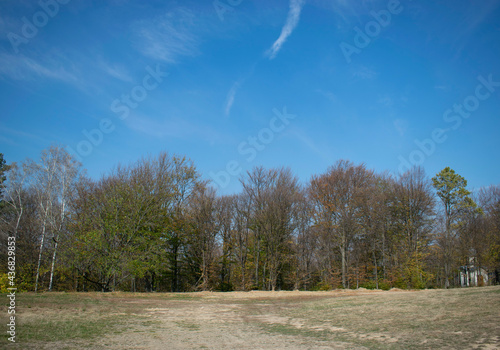 Beautiful Landscape on the Edge of the Forest