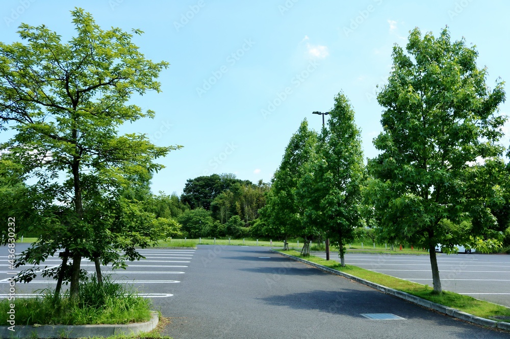 初夏　緑　駐車場　風景