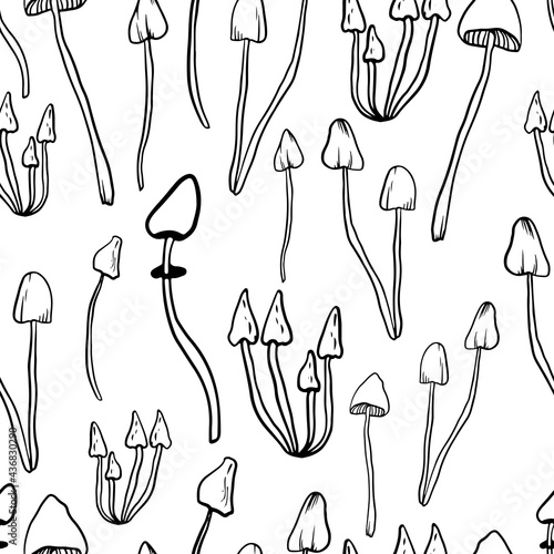 Mushrooms seamless pattern on an isolated white background. Forest, mushroom print for textiles in doodle style. Black-white pattern.Vector illustration.