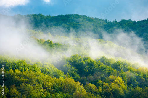 mountain landscape on a misty morning. beautiful nature background in summer. scenic outdoor scenery with clouds. magic weather season © Pellinni
