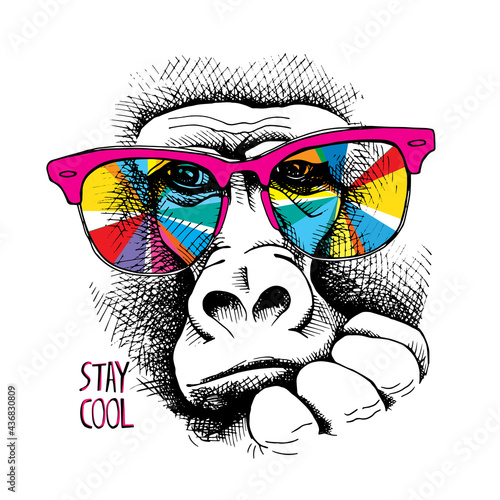 Vector illustration. Portrait of Monkey in a rainbow color glasses. Stay cool - lettering quote. Poster, t-shirt composition, hand drawn style print.