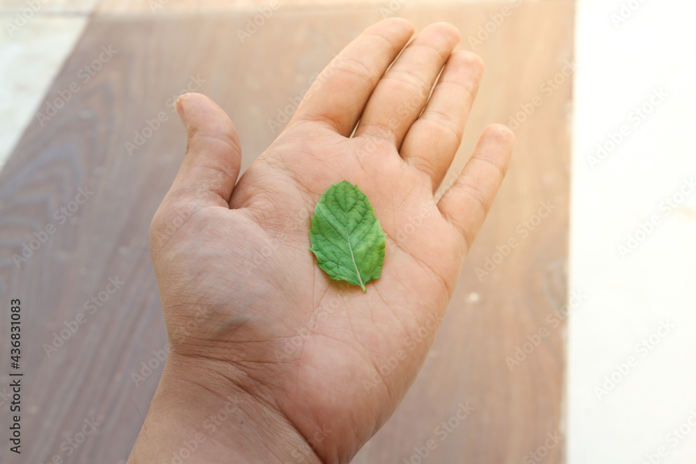 Beautiful green leaf on the human hand {Save Plants} Beautiful green leaf on the human hand {Save Plants}