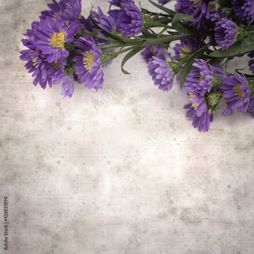 square stylish old textured paper background with small purple aster flowers


