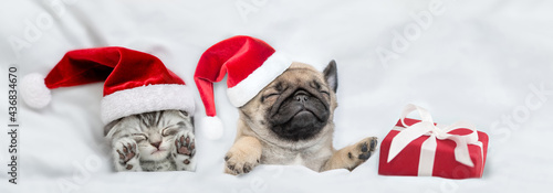 Kitten and Pug puppy wearing santa hats sleep together with gift box under a white blanket on a bed at home. Top down view