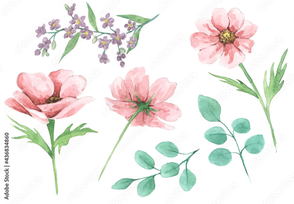 set of pink flowers for pattern