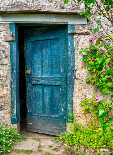 rustic old blue wooden door, covered in foliage.