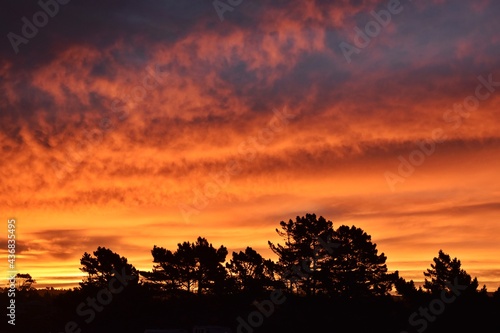 New Zealand  stunning sunset panorama in Catlins. Beautiful nature moment with sky in the fire. 