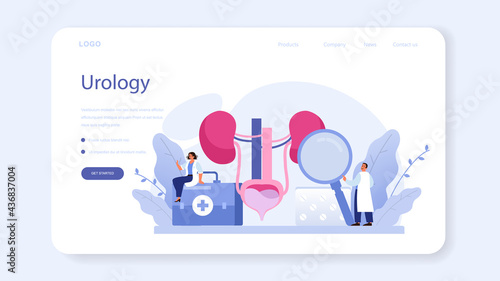 Urologist web banner or landing page. Idea of kidney and bladder treatment