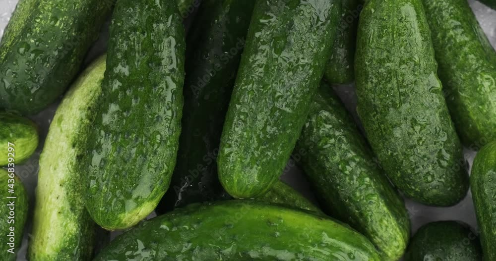 Raindrops falling on a heap of cucumbers. Rotation of cucumbers. View from above. Vegetables background Raindrops falling on a heap of cucumbers. Rotation of cucumbers. View from above. Vegetables background